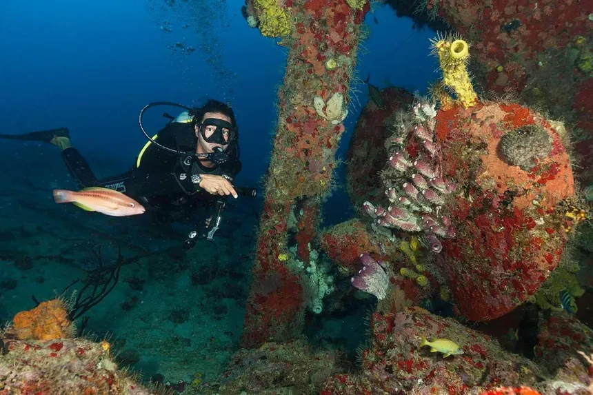 Exploring coral reefs in Bayahibe