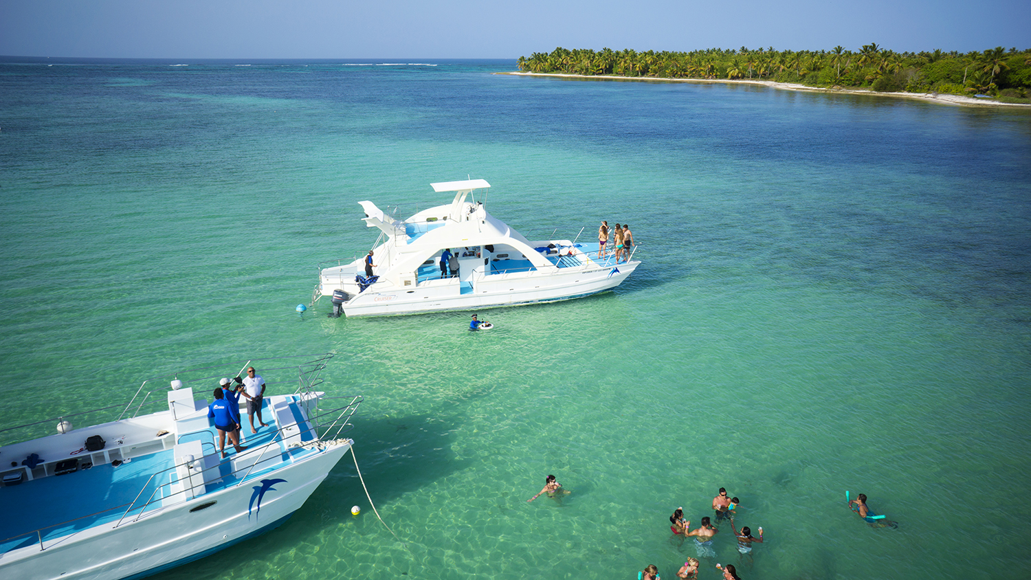 Dolphin kiss experience in Punta Cana