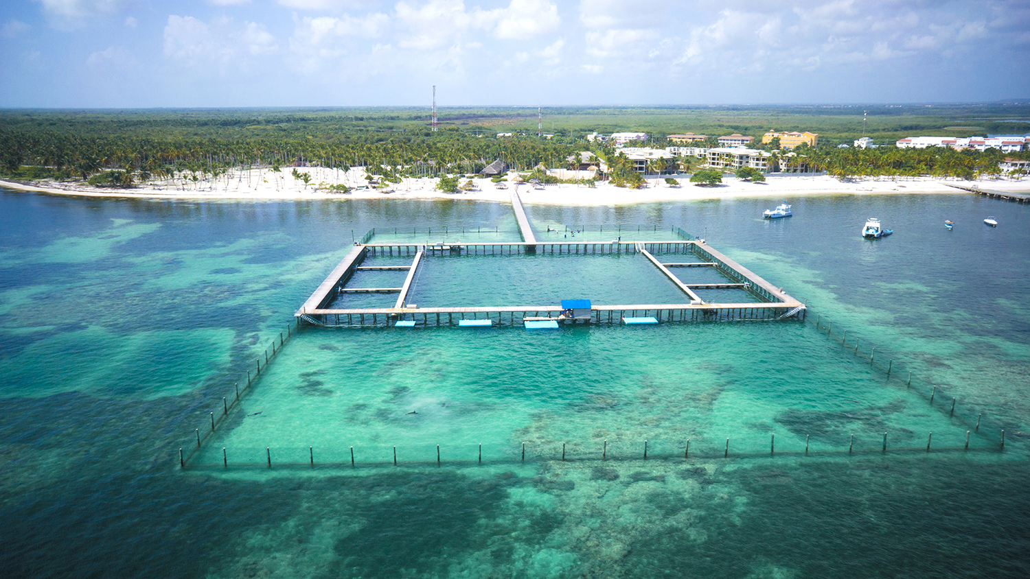 Family enjoying Dolphin Explorer excursion