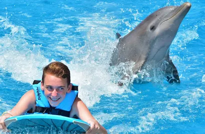 Exclusive dolphin experience