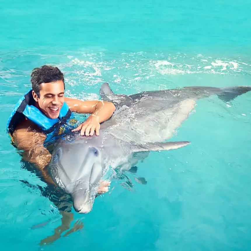 Interactive dolphin encounter in Punta Cana