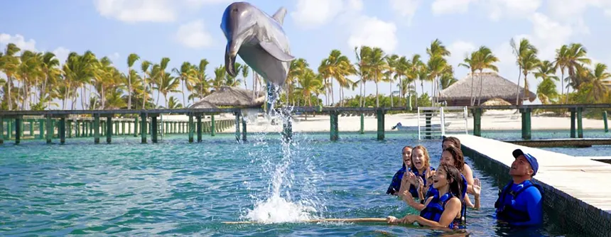 Swimming with dolphin