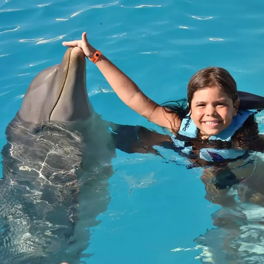 Family dolphin experience