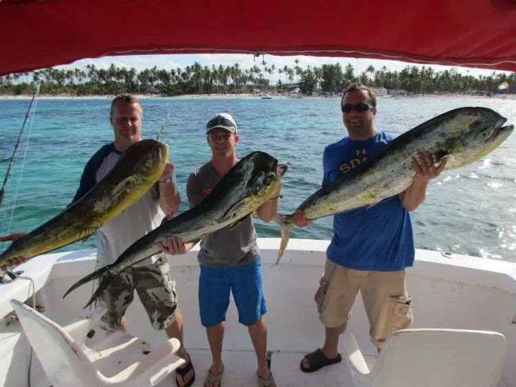 Deep sea sport fishing in Punta Cana Caribbean waters