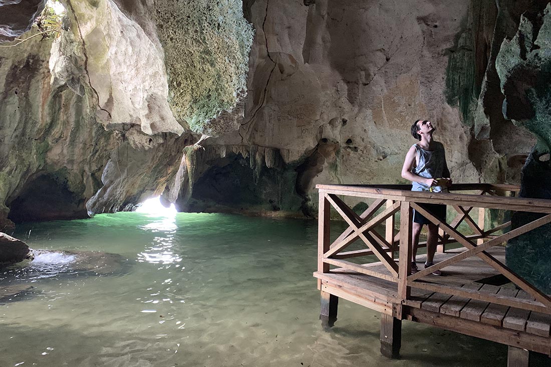 Boat tour through mangrove channels