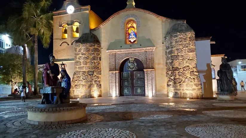 Cocoa bean plantation