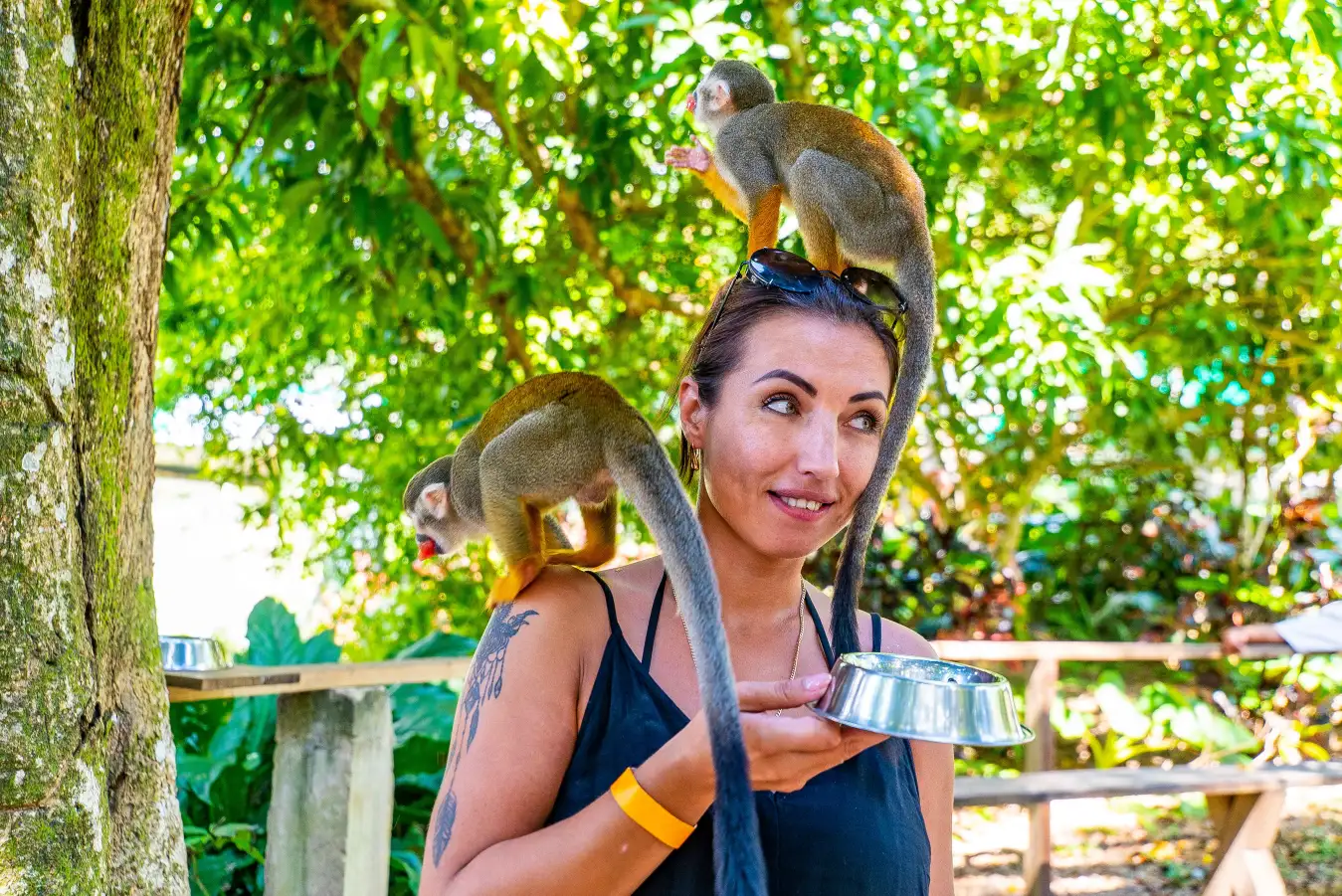 Squirrel monkeys at Monkey Land Punta Cana