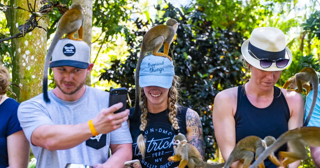 Lush five-acre park with mountain views