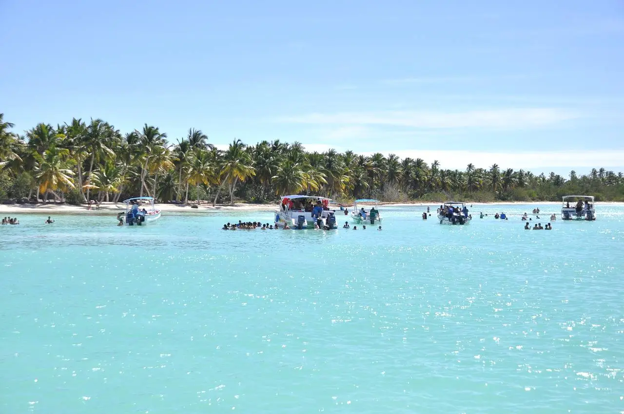 Natural swimming pool with starfish